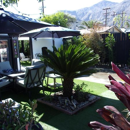 Updated Dwntwn 2Bd Twnhse W/Hot Tub& Private Patio Palm Springs Kültér fotó